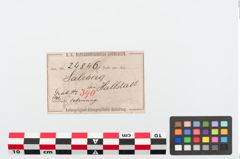 Etiketten zu Bronzemelonenarmreif (NHMW-PRAE-024846)